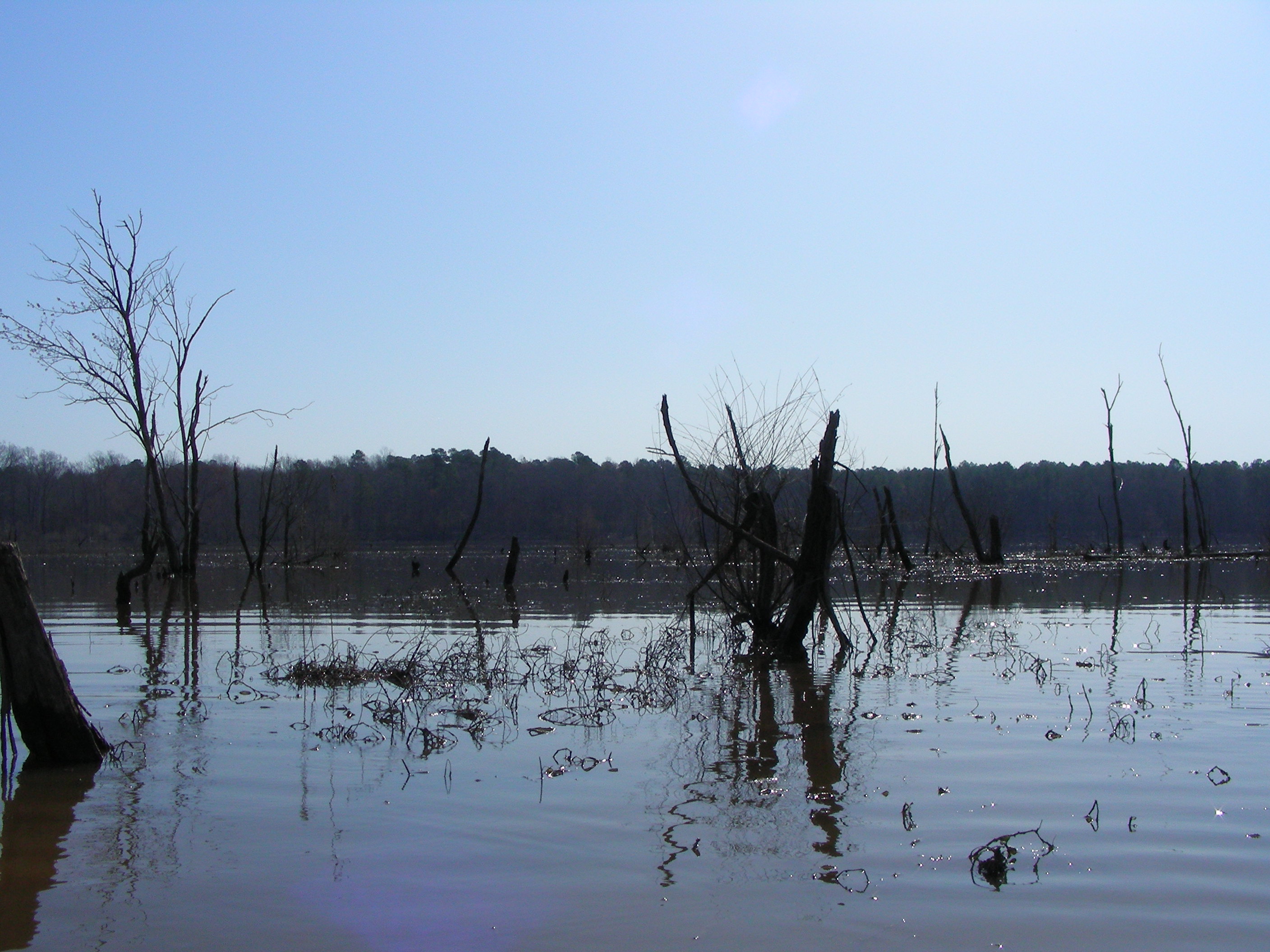 ./2010/Kayaking Falls Lake/DSCN7038.JPG
